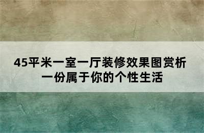 45平米一室一厅装修效果图赏析 一份属于你的个性生活